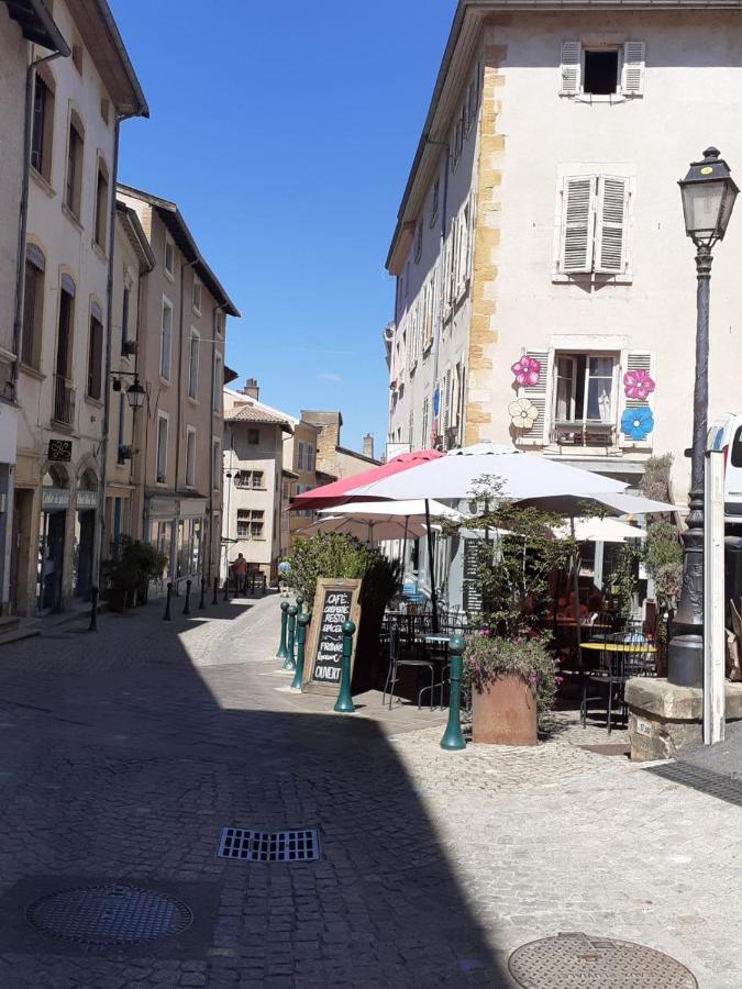 Trevoux: Loft Ravissant Avec Terrasse公寓 外观 照片