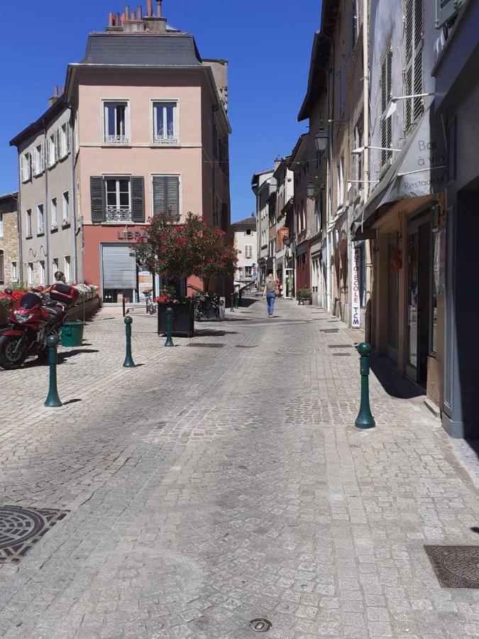 Trevoux: Loft Ravissant Avec Terrasse公寓 外观 照片